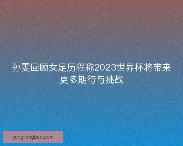 孙雯回顾女足历程称2023世界杯将带来更多期待与挑战