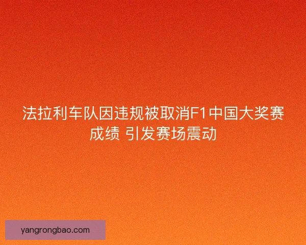 法拉利车队因违规被取消F1中国大奖赛成绩 引发赛场震动